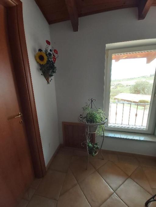 Cascina Cantaret Agriturismo San Marzano Oliveto Esterno foto